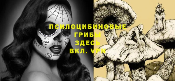 дмт Гусиноозёрск