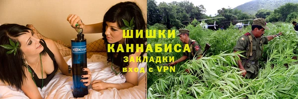 ГАЛЛЮЦИНОГЕННЫЕ ГРИБЫ Горно-Алтайск
