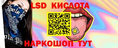 эйфоретик Кингисепп