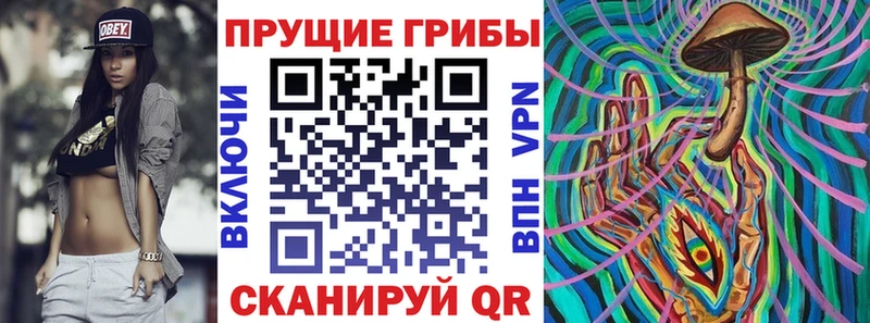 купить сайты kraken tor Галлюциногенные грибы Magic Shrooms Москва