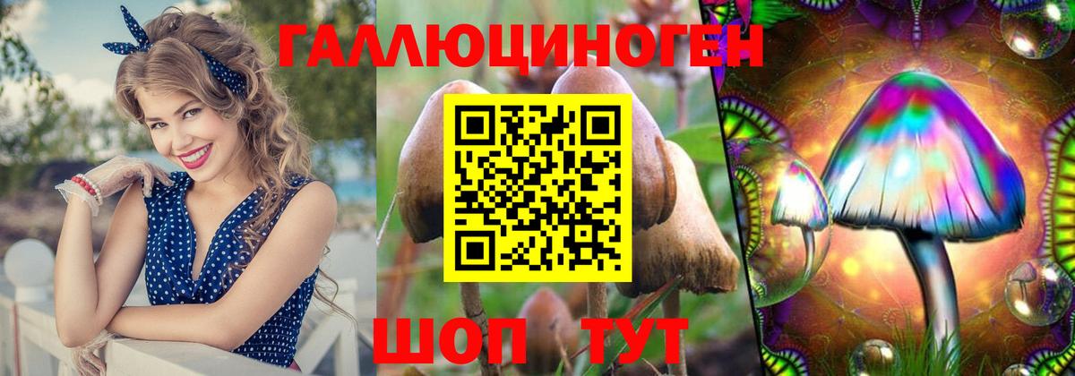Псилоцибиновые грибы Cubensis Москва
